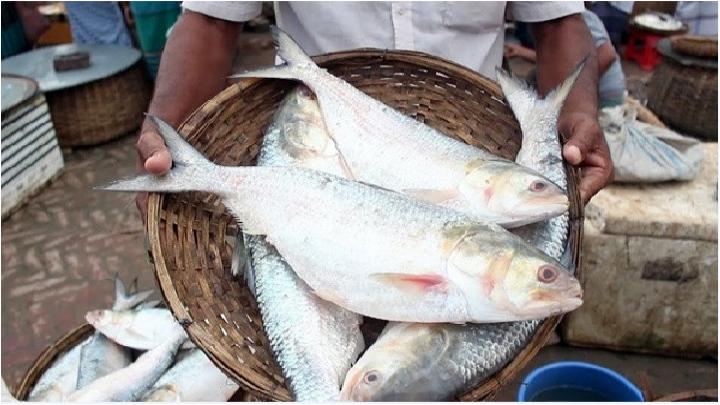 ভারতে ইলিশ রপ্তানি বন্ধে সরকারকে আইনি নোটিশ